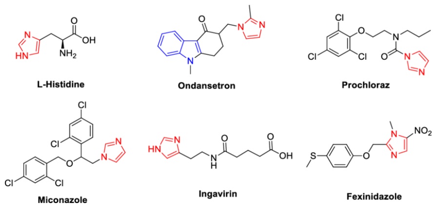 Design Imidazole Series Heterocycles For Drug Precursors Home